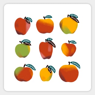 Apples Magnet